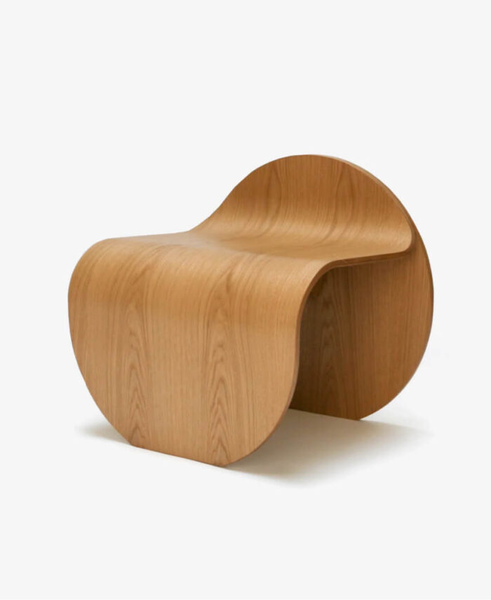Pashe Modern Accent Chair, Fabric Upholstery